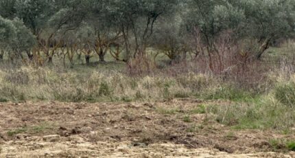 Rognes Terrain à bâtir - 2302395-7054annonce120251012aTibl.jpeg Maisons Open