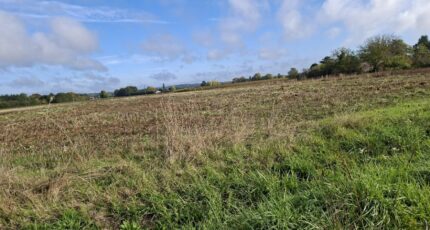 Bergerac Terrain à bâtir - 2300749-11103annonce120251010TZRM0.jpeg Maisons Open