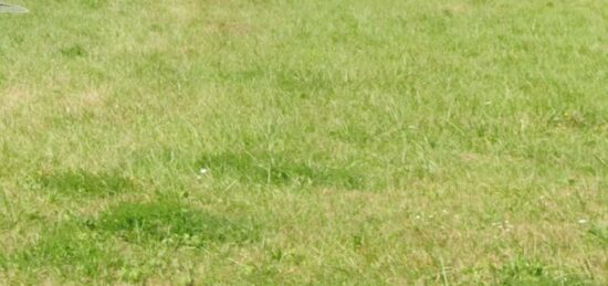 Terrain à bâtir à Mérignac, Nouvelle-Aquitaine