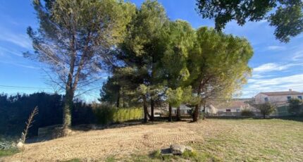 Pézenas Terrain à bâtir - 2274114-10896annonce320250917Ql475.jpeg Maisons Open