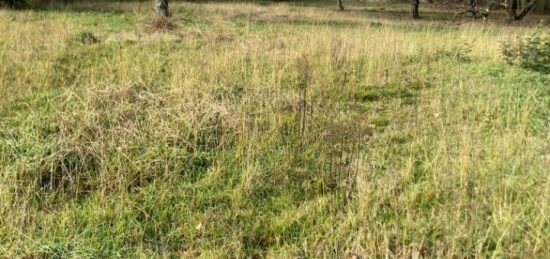 Terrain à bâtir à Saint-Aubin-de-Médoc, Nouvelle-Aquitaine