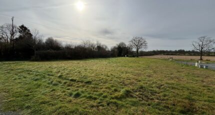 La Membrolle-sur-Longuenée Terrain à bâtir - 2340310-10544annonce120251117a55TG.jpeg Maisons Open