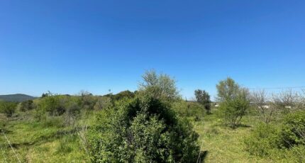 Montpezat Terrain à bâtir - 2301748-609annonce120251010GGJnt.jpeg Maisons Open