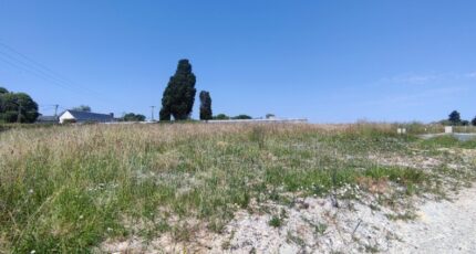 Soucelles Terrain à bâtir - 2340318-10544annonce120251117hUgGs.jpeg Maisons Open