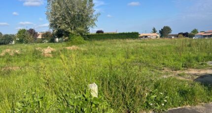 Sainte-Colombe-en-Bruilhois Terrain à bâtir - 2340385-9795annonce120250506vkeRN.jpeg Maisons Open