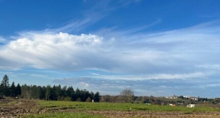 Cocumont Terrain à bâtir - 2340422-9795annonce120250306aiQin.jpeg Maisons Open