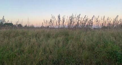 La Sauvetat-du-Dropt Terrain à bâtir - 2340366-9795annonce220250315ObU9i.jpeg Maisons Open