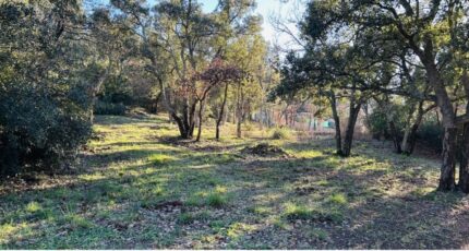 Vidauban Terrain à bâtir - 2247031-4529annonce120250819D7ioE.jpeg Maisons Open