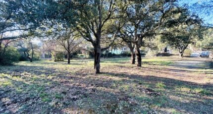 Vidauban Terrain à bâtir - 2247031-4529annonce320250819hh66r.jpeg Maisons Open