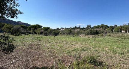 Roquebrune-sur-Argens Terrain à bâtir - 2306609-4529annonce320251015b83fs.jpeg Maisons Open