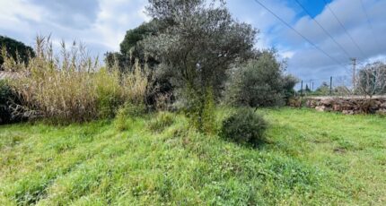 Puget-sur-Argens Terrain à bâtir - 2246901-4529annonce120250819mXzw9.jpeg Maisons Open