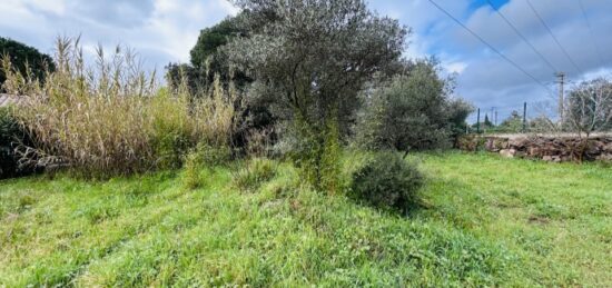 Terrain à bâtir à Puget-sur-Argens, Provence-Alpes-Côte d'Azur