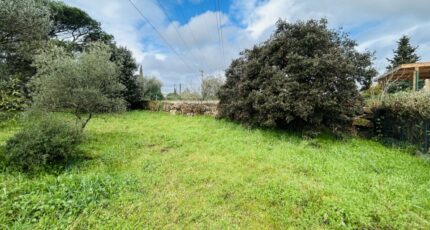 Puget-sur-Argens Terrain à bâtir - 2246901-4529annonce220250819trlrz.jpeg Maisons Open