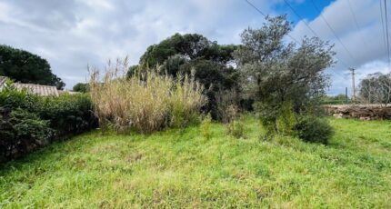 Puget-sur-Argens Terrain à bâtir - 2246901-4529annonce320250819fzSTV.jpeg Maisons Open