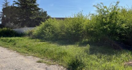 Vaison-la-Romaine Terrain à bâtir - 2303412-6150annonce120250516RHBPr.jpeg Maisons Open