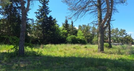 La Bastide-des-Jourdans Terrain à bâtir - 2341023-6932annonce120251117K8eTX.jpeg Maisons Open