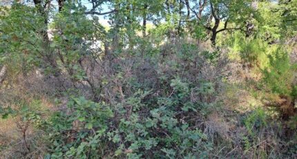 Gréasque Terrain à bâtir - 2341091-11041annonce4202511173S2OX.jpeg Maisons Open