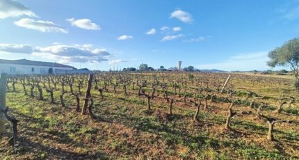 Autignac Terrain à bâtir - 2272721-11018annonce320250916slQqp.jpeg Maisons Open