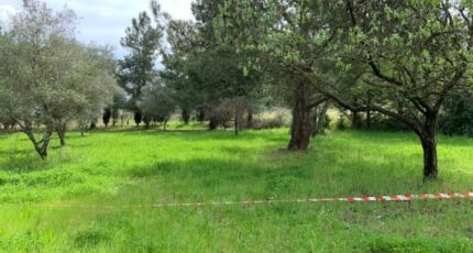 Lézignan-la-Cèbe Terrain à bâtir - 2267758-11018annonce320250911tQ0Rl.jpeg Maisons Open