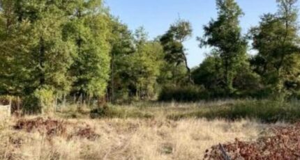 Saint-Genès-de-Lombaud Terrain à bâtir - 2281202-10776annonce1202509237HLi2.jpeg Maisons Open