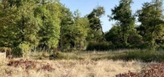 Terrain à bâtir à Saint-Genès-de-Lombaud, Nouvelle-Aquitaine