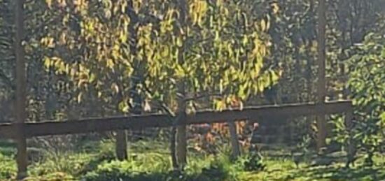 Terrain à bâtir à Louchats, Nouvelle-Aquitaine