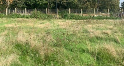 Saintry-sur-Seine Terrain à bâtir - 2341045-10626annonce120251117W1TGU.jpeg Maisons Open