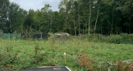 Baulne Terrain à bâtir - 2341089-10626annonce120251117vexSz.jpeg Maisons Open