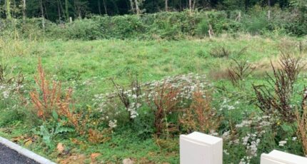 Baulne Terrain à bâtir - 2341085-10626annonce120251117lGWsg.jpeg Maisons Open