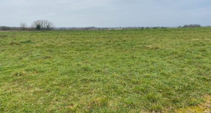 Taillebourg Terrain à bâtir - 2341418-11194annonce220251118gIds0.jpeg Maisons Open