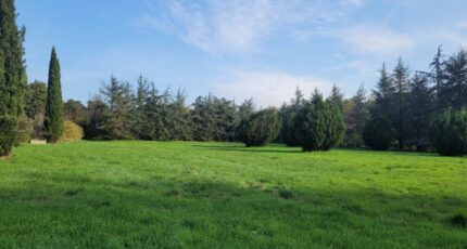 Allan Terrain à bâtir - 2341455-812annonce2202411067cC3c.jpeg Maisons Open