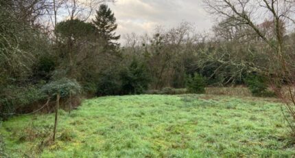 Saint-Selve Terrain à bâtir - 2341675-11689annonce120251118JPFW6.jpeg Maisons Open