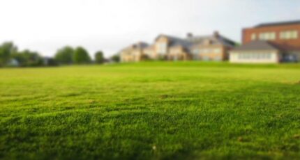 Argenteuil Terrain à bâtir - 2307490-10570annonce120251016gOvVI.jpeg Maisons Open