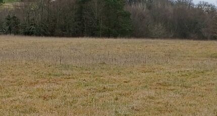 Verteillac Terrain à bâtir - 2304895-9455annonce120251014V2hFR.jpeg Maisons Open