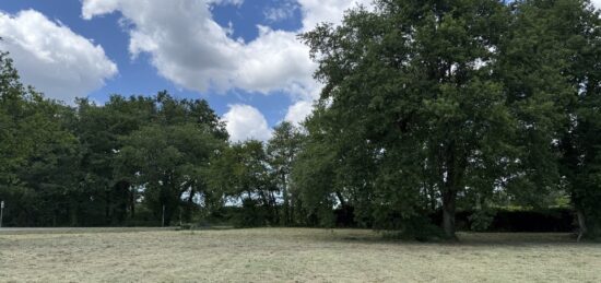 Terrain à bâtir à Margaux, Nouvelle-Aquitaine