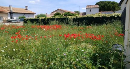 Mauguio Terrain à bâtir - 2273809-11040annonce120250917dTVXT.jpeg Maisons Open