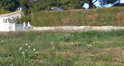 Mauguio Terrain à bâtir - 2273792-11040annonce120250917iiW4i.jpeg Maisons Open