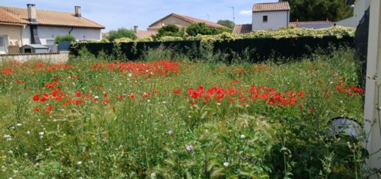 Terrain à bâtir à Mauguio, Occitanie