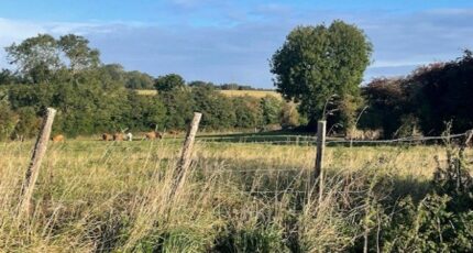 Agy Terrain à bâtir - 2269616-10282annonce120250912DhH6f.jpeg Maisons Open