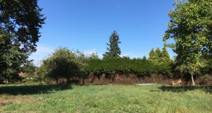 Orgeval Terrain à bâtir - 2341875-10686annonce1202507293sQHQ.jpeg Maisons Open