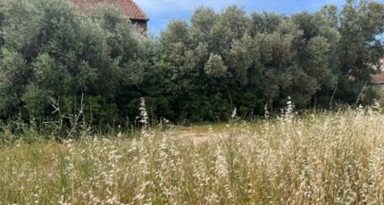 Plan-de-Cuques Terrain à bâtir - 2275063-7060annonce2202501311BOUT.jpeg Maisons Open