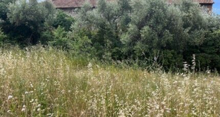 Plan-de-Cuques Terrain à bâtir - 2275063-7060annonce120250131GuizG.jpeg Maisons Open