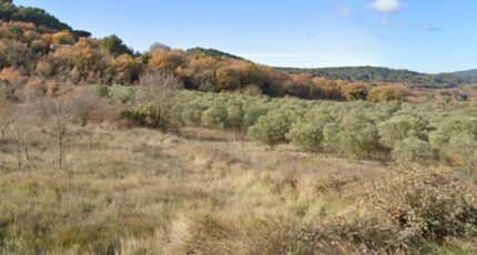 Rognes Terrain à bâtir - 2275037-7060annonce120240611TCD4z.jpeg Maisons Open