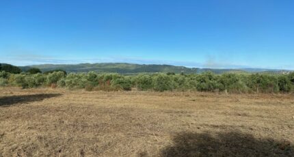 Rognes Terrain à bâtir - 2275037-7060annonce320240611ycO9v.jpeg Maisons Open