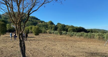 Rognes Terrain à bâtir - 2275037-7060annonce42024061132UOJ.jpeg Maisons Open