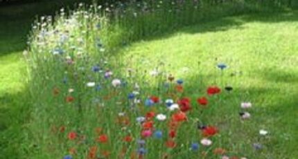 Sainte-Maure-de-Touraine Terrain à bâtir - 2265260-10205annonce120250909tKiND.jpeg Maisons Open