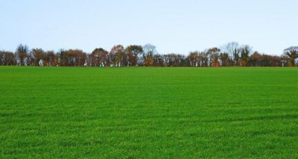 Saze Terrain à bâtir - 2248239-616annonce120250821mU3G1.jpeg Maisons Open