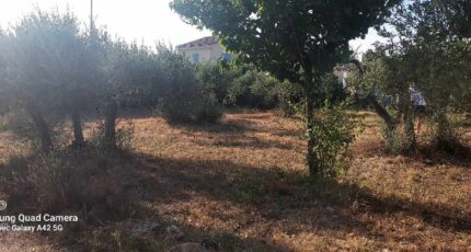 Aubignan Terrain à bâtir - 2273306-695annonce220250916iNwym.jpeg Maisons Open