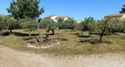 Aubignan Terrain à bâtir - 2273306-695annonce420250916XGRvg.jpeg Maisons Open