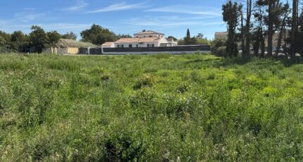 Saint-Saturnin-lès-Avignon Terrain à bâtir - 2304730-695annonce120251014bEOOC.jpeg Maisons Open